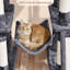 Manorbier 63" H Multilevel Cat Tree for Small and Medium Cats-934833415