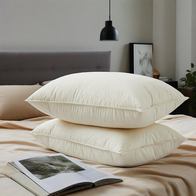 Oreiller de soutien en mélange de duvet