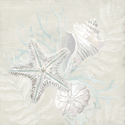 Esquisse de coquille patinée I