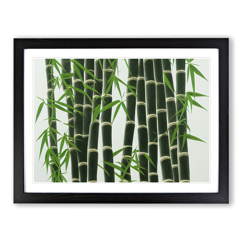 Interesting Bamboo Forest - Framed Print, Black, 46cm H x 64cm W x 2cm D