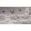 Tapis Whimsy-126595202