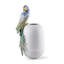 Macaw Bird Vase-800689230
