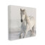 Étalon blanc au galop-847332967