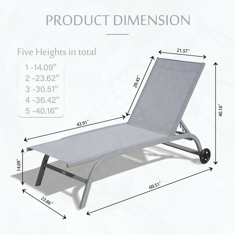 Ensemble de 2 chaises longues avec roulettes et 5 positions réglables, Gris
