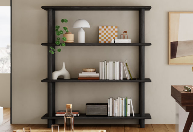 Bookcases to Get Organized