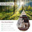 Kara Wood Free Standing Pet Gate