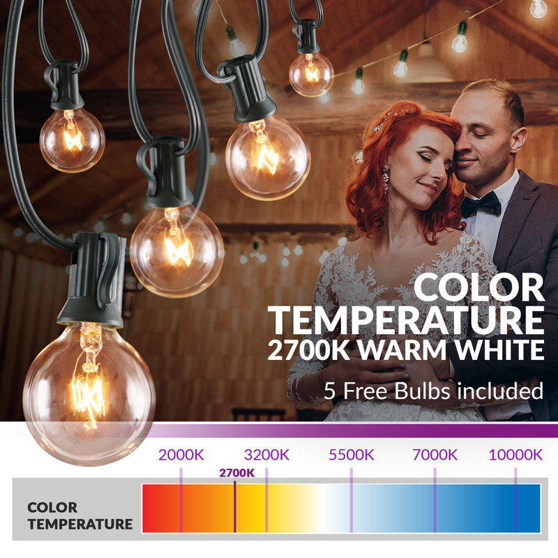 Guirlande de 25 lumières sphériques à brancher pour l'extérieur - Basics by Wayfair ™, Noir