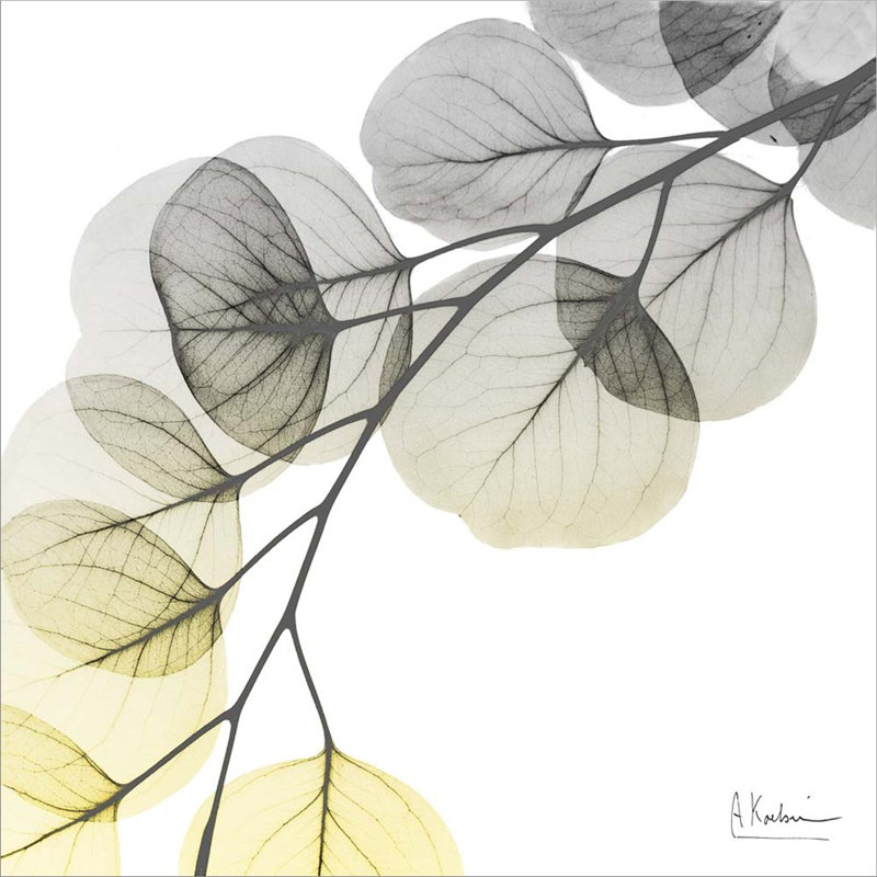 " Brilliant Eucalyptus 1 " by Albert Koetsier
