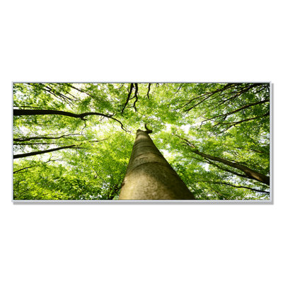 «Tree Canopies Summer Forest» - photographie sur toile