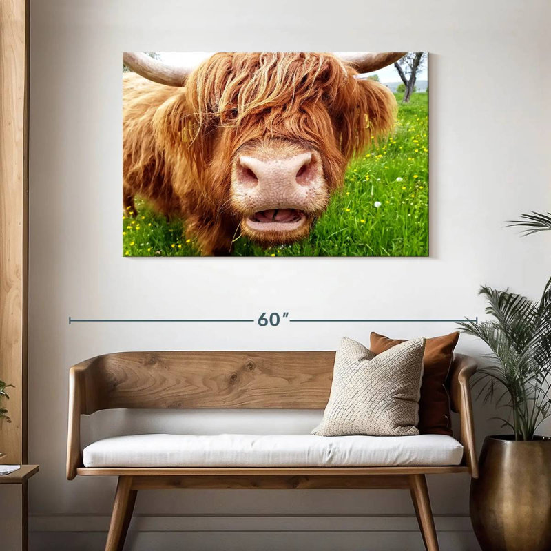 Brampt Long Hair Cow, 30" H x 45" W
