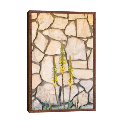 Palm Springs Blooms by Bethany Young - Print on Canvas