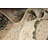 One-of-a-Kind Area Rug