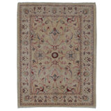 Hand Knotted Wool Area Rug in Gold And Cream