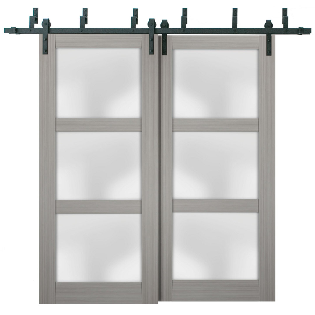 Lucia Frosted Glass Barn Doors with Installation Hardware Kit SARTODOORS 