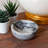 Anycia Dining Bowl-962209289
