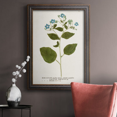 Nature imprimée Botanicals VI, toile encadrée de qualité supérieure - prête à être accrochée