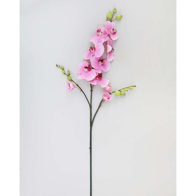 Pink Flowering Phalaenopsis Orchid 34", Pink, 43" H x 4" W