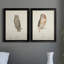 Scops - Eared Owl - Ensemble de 2 peintures sur toile encadrées-1040616801-1040616802