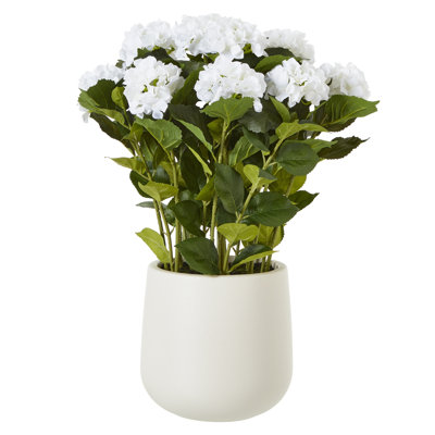Hydrangea Arrangement in Pot