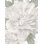 Rose blanche de Sharon sur toile