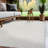 Indoor Outdoor Area Rug-553742469-553742467