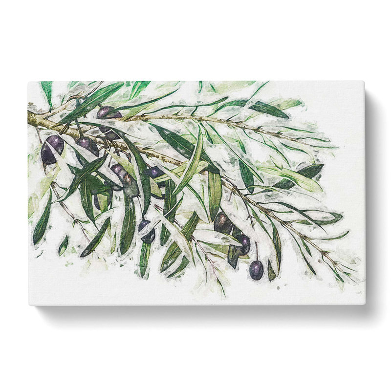 The Olive Branch - Wrapped Canvas Painting Print, 40cm H x 60cm W x 3cm D