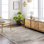 Loeffler Oriental Indoor Rug