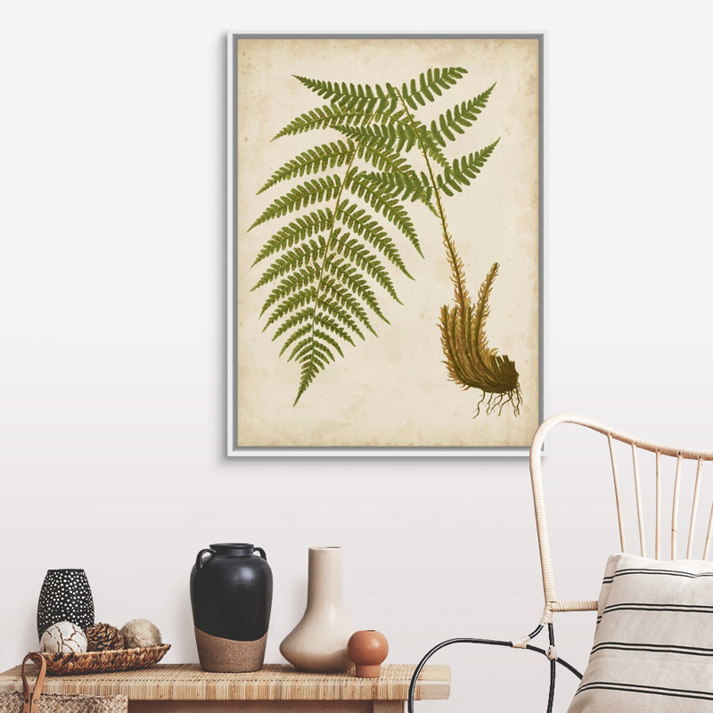 Art mural sur toile Fern Trio III, Toile avec cadre blanc, H 40 po x l 30 po x P 1,75 po