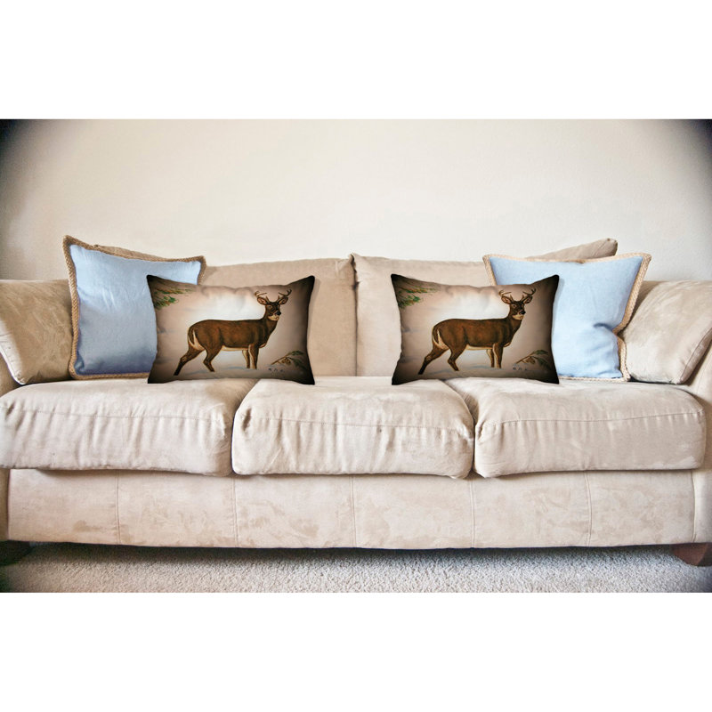  Coussin intérieur / extérieur Buck, 16 po x 20 po