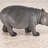 Hippopotamus Garden Statue