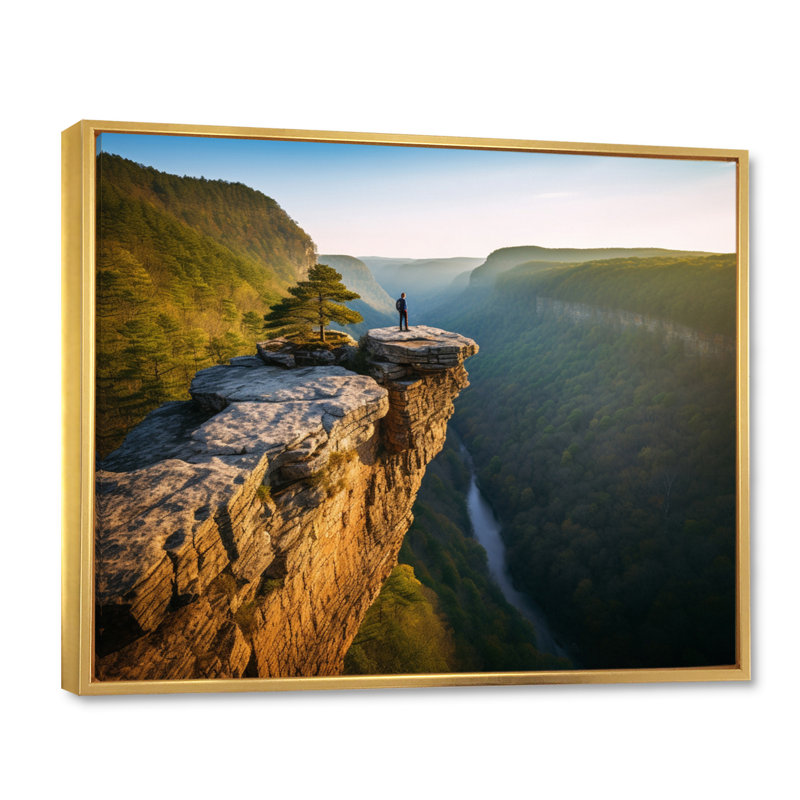 Arkansas Whitaker Point I - art mural grand Arkansas, H 24 po x l 32 po x P 1 po, Cadre flottant doré