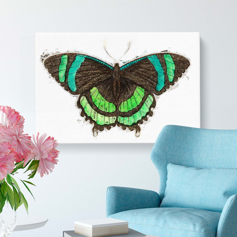 Orontes Butterfly by George Shaw - Wrapped Canvas, 40cm H x 60cm W x 3cm D