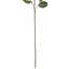 Seeded Eucalyptus Leaves Artificial Sprays - 33" - Green - Set Of 6