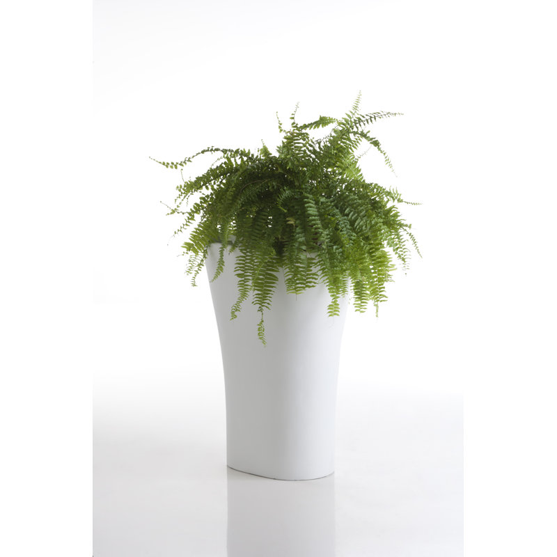 Bones Resin Pot Planter, 27.5" H x 17.25" W x 20.5" D, Ice
