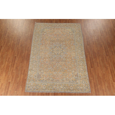 Traditional Area Rug 7x10