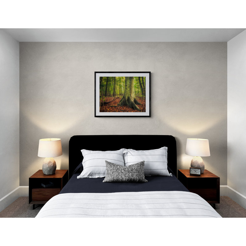 The Giving Tree Print by Scott Norris, Black Framed Paper, 25.25" H x 31.25" W