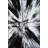 Black Poplar Themed Decorative Carpet And Washable Carpet-527279984