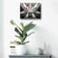 «Elegant Stairs» par Roman Robroek-927827453