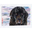 Impression sur toile terre-neuve-32498277-72120532-72120533