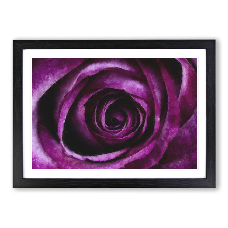 Purple Rose Flower Vol.2 - Framed Print, 48cm H x 65cm W x 2cm D, Black Framed