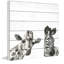 «Giraffe And Zebra II», reproduction d'art sur bois blanc-61297354
