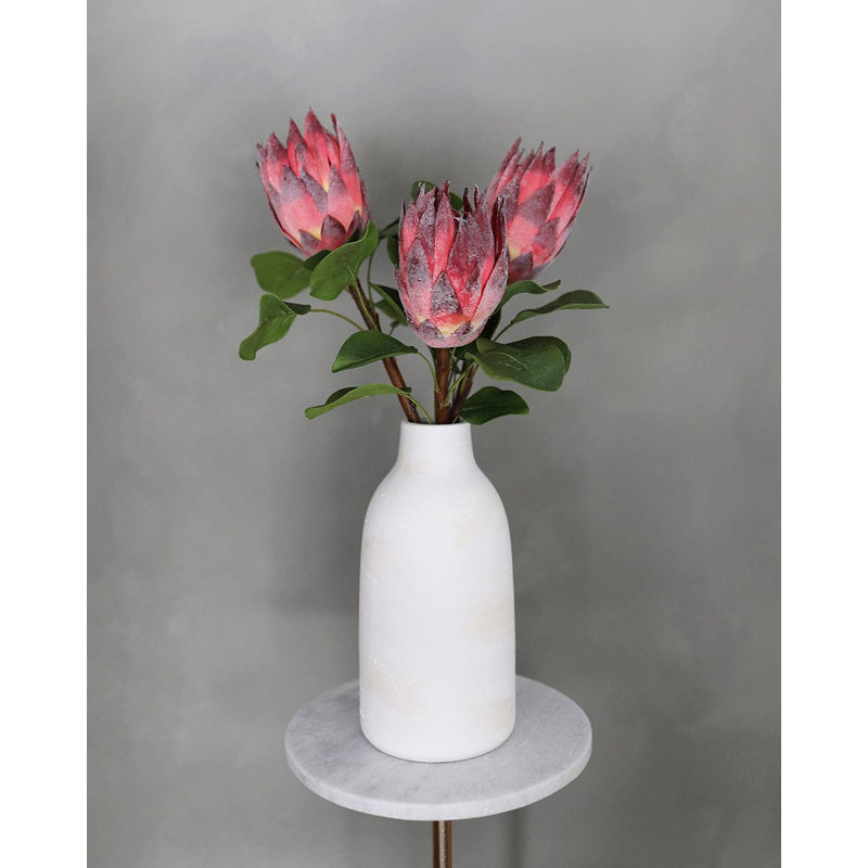 Protea 23,5 po bourgogne, Burgundy
