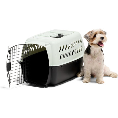 Niche pour chien en plastique durable, turquoise pâle et noir, taille moyenne, transporteur de voyage léger pour la maison et sur le pouce
