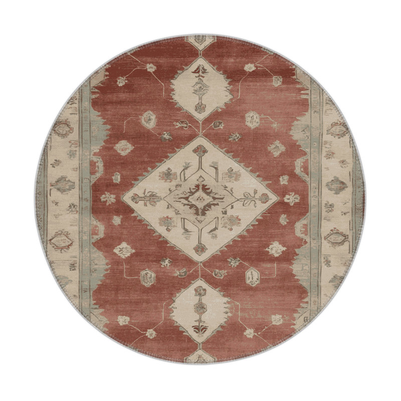 Tapis intérieur et extérieur brun Overdyed, Rond 5 pi