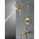 SAYLOR™ Monitor® 17 Series Tub & Shower Trim with In2ition®