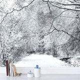 Tree Branches Covered Snow Winter