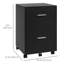 Lowensky 15.6'' Wide 2 -Drawer Mobile File Cabinet-1699062603