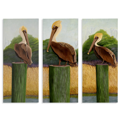 Ensemble de 3 pièces sur toile Blue Eyed Pelicans in Marsh, par Barbara Fallenbaum