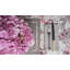 Bonnefoy  Cotton Table Runner-16795354