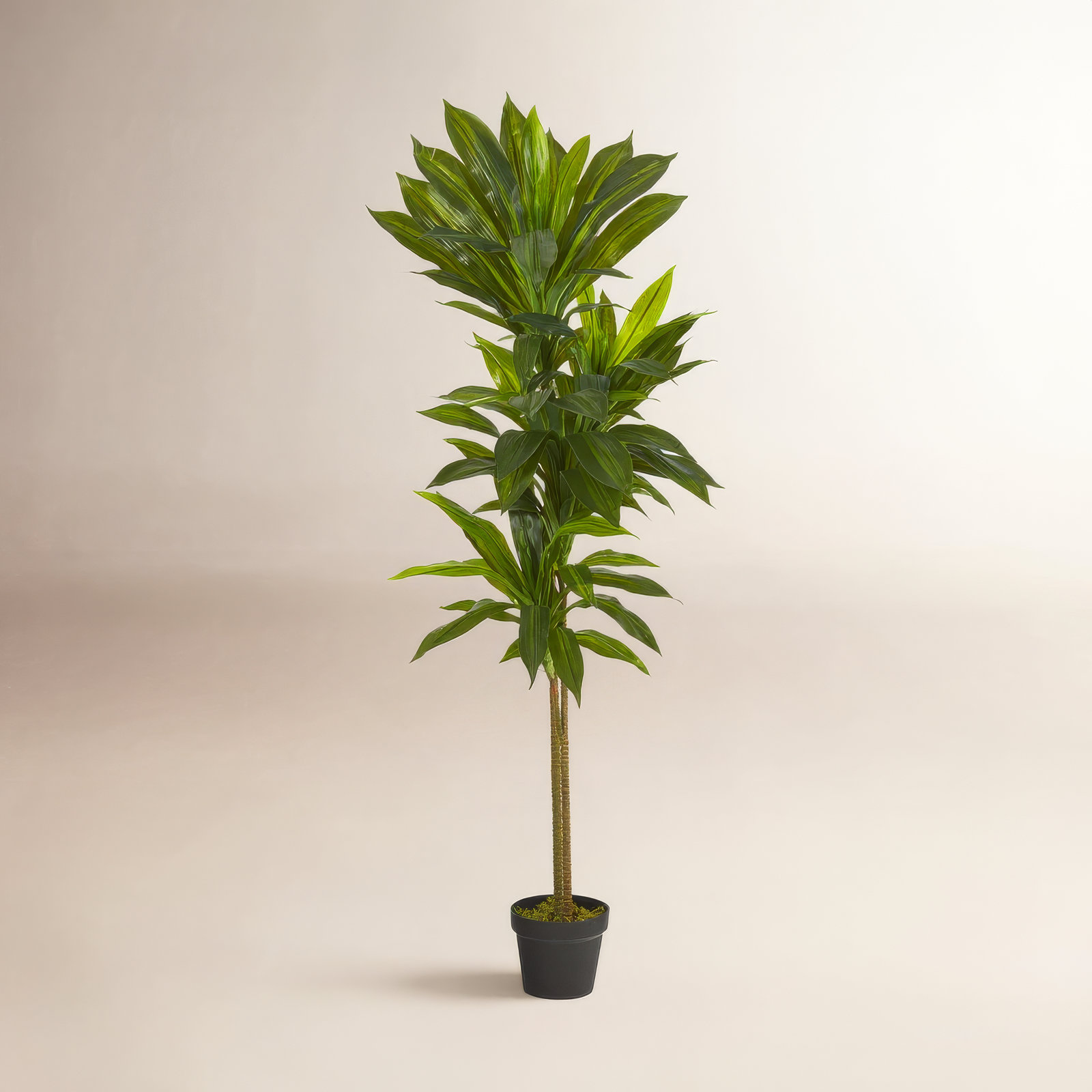 Faux Plant in Pot Liner, 56" H x 16" W x 16" D
